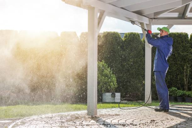 Animal Enclosure Cleaning in Hubbard, TX